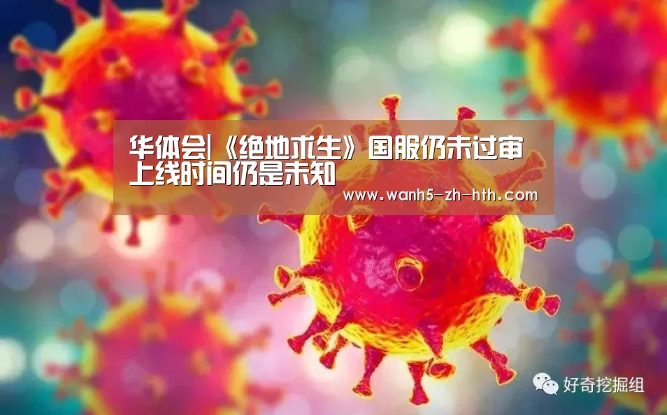 华体会
