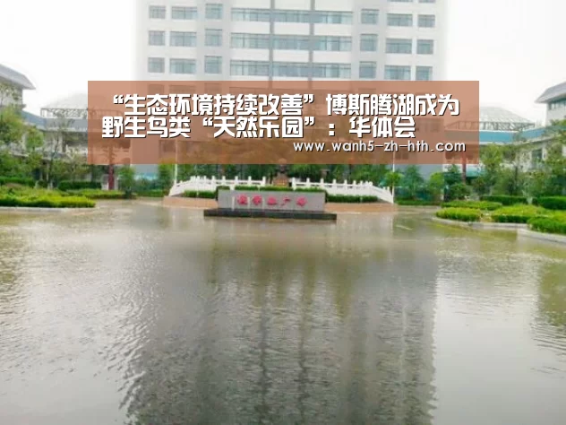 华体会app