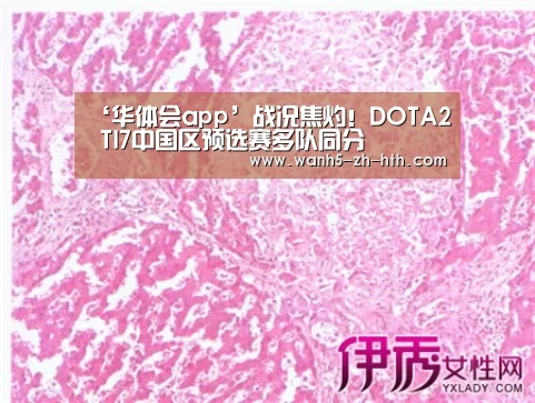 华体会