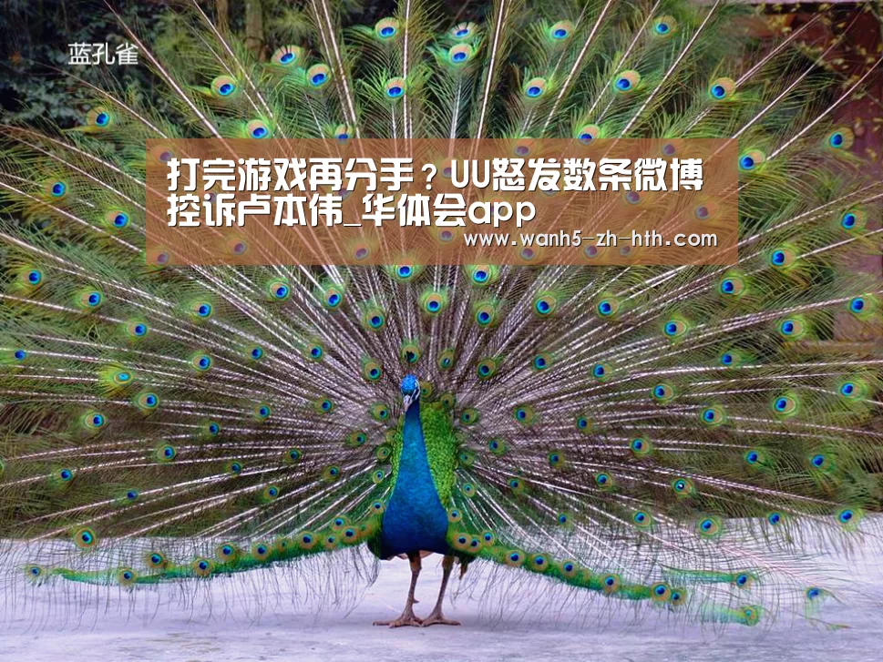华体会app