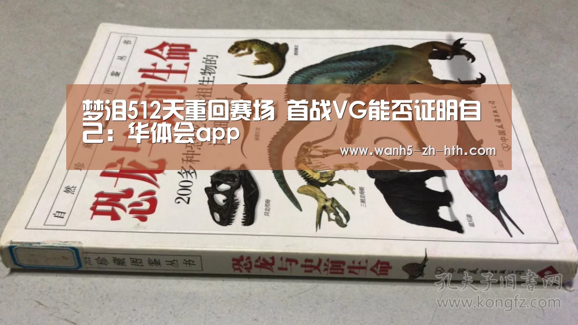 华体会